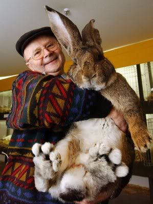 giant20bunny20hug
