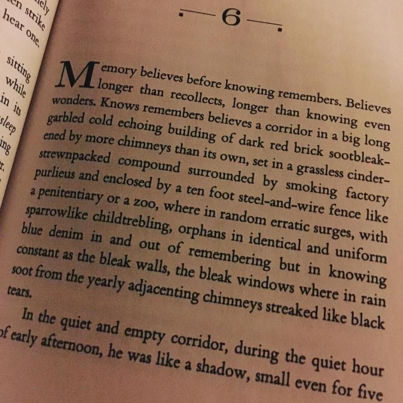 15325266_10154609170808819_6170115713081169788_o