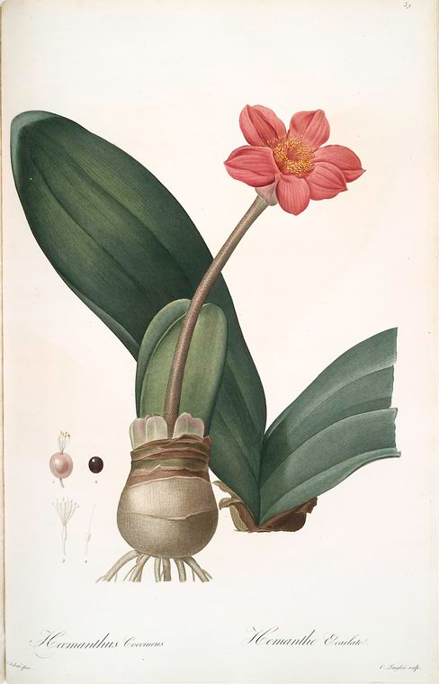 nypl.digitalcollections.510d47dd-f0b6-a3d9-e040-e00a18064a99.001.w